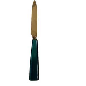 NEW Sabre Paris Icone Turquoise Dinner Knife Stainless Steel Made in France